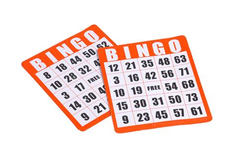 BINGO Definition & Meaning .